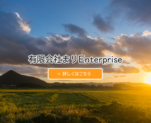 有限会社まりＥｎｔｅｒｐｒｉｓｅ